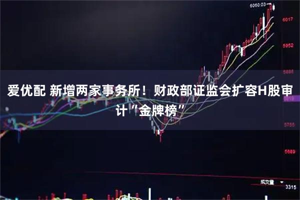 爱优配 新增两家事务所！财政部证监会扩容H股审计“金牌榜”
