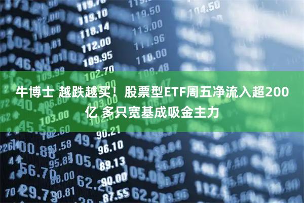 牛博士 越跌越买！股票型ETF周五净流入超200亿 多只宽基成吸金主力